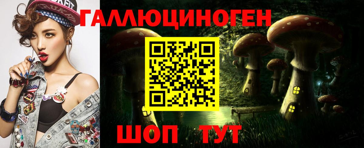 Псилоцибиновые грибы Cubensis Асино