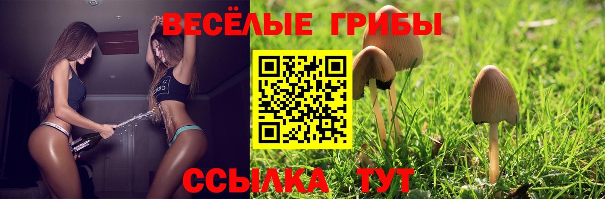 Асино  Псилоцибиновые грибы ЛСД  Псилоцибиновые грибы Cubensis  Вход с VPN 